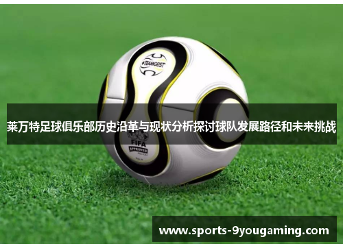 莱万特足球俱乐部历史沿革与现状分析探讨球队发展路径和未来挑战