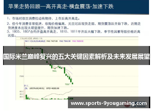 国际米兰巅峰复兴的五大关键因素解析及未来发展展望