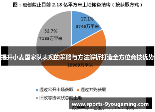 提升小麦国家队表现的策略与方法解析打造全方位竞技优势