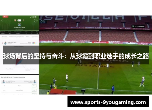 球场背后的坚持与奋斗：从球霸到职业选手的成长之路