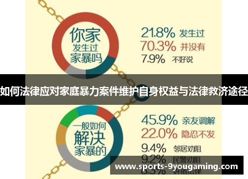 如何法律应对家庭暴力案件维护自身权益与法律救济途径