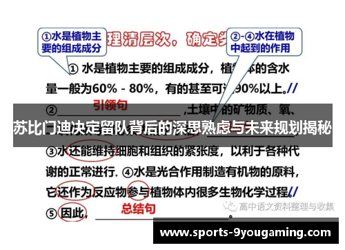 苏比门迪决定留队背后的深思熟虑与未来规划揭秘