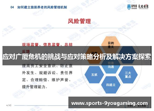 应对广厦危机的挑战与应对策略分析及解决方案探索