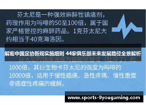解密中国足协新规实施细则 44家俱乐部未来发展路径全景解析