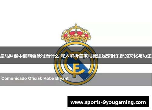 皇马队徽中的颜色象征着什么 深入解析皇家马德里足球俱乐部的文化与历史