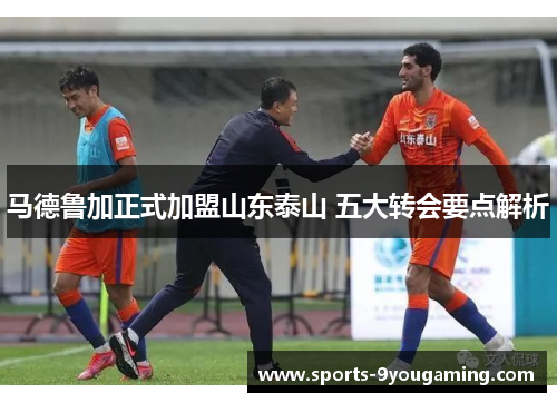 马德鲁加正式加盟山东泰山 五大转会要点解析